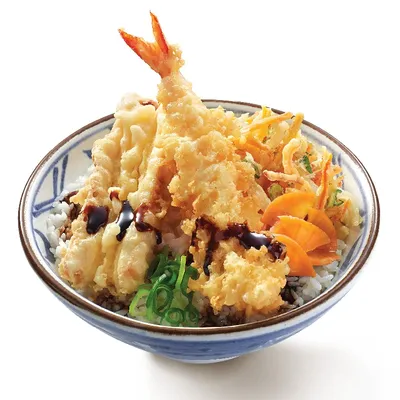 Tendon Rice