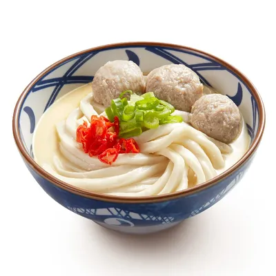 Tori Baitan Udon